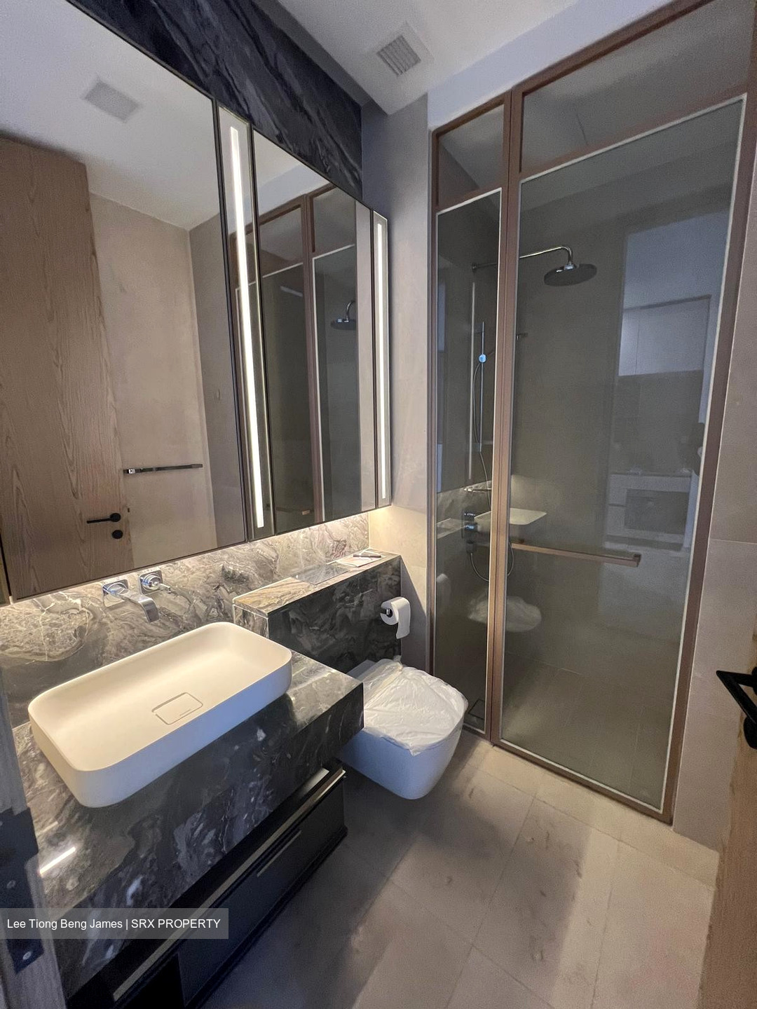 The Avenir (D9), Condominium #450796401
